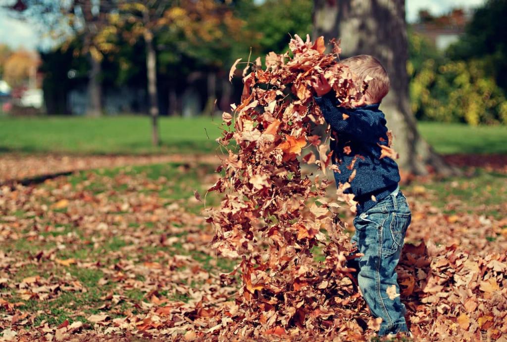 Как да прекарате един незабравим ден  с детето ви през есента? 