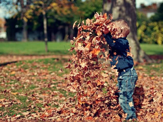 Как да прекарате един незабравим ден  с детето ви през есента?  -Полезно